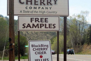 У колорадо, ведмедя впав у пекарню і взяв булочку У колорадо, ведмедя впав у пекарню і взяв булочку